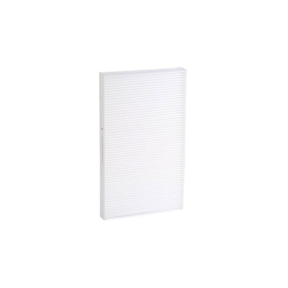 Pollen Filter