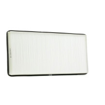 Pollen Filter