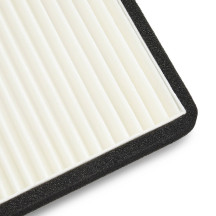 Pollen Filter