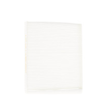 Pollen Filter