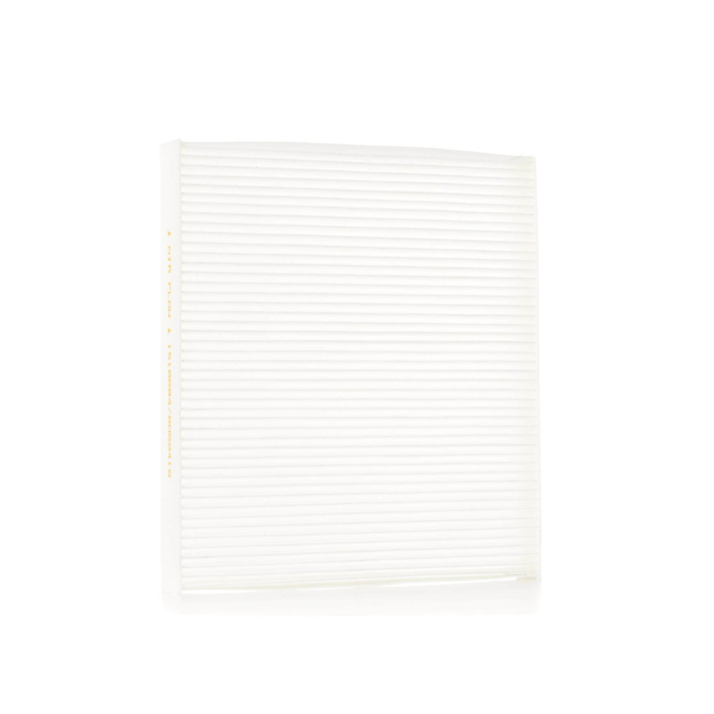 Pollen Filter