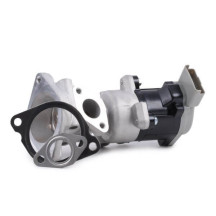 EGR Valve RH