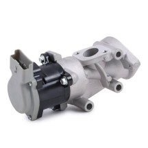 EGR Valve (RH)