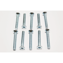 Door Striker Screw