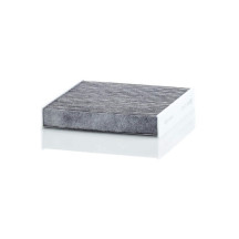 Cabin/ Activated Carbon Filter