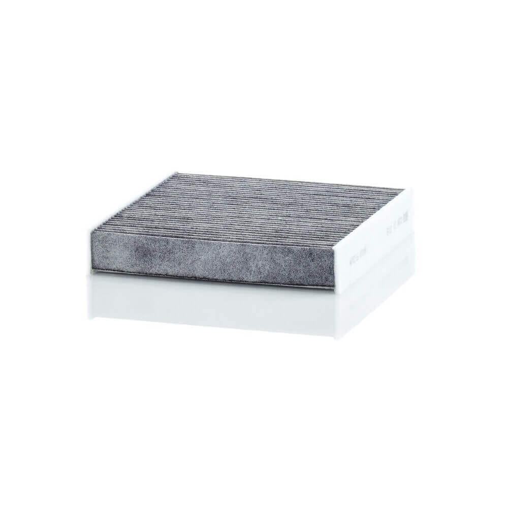 Cabin/ Activated Carbon Filter
