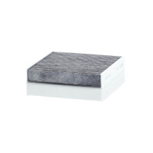 Cabin/ Activated Carbon Filter