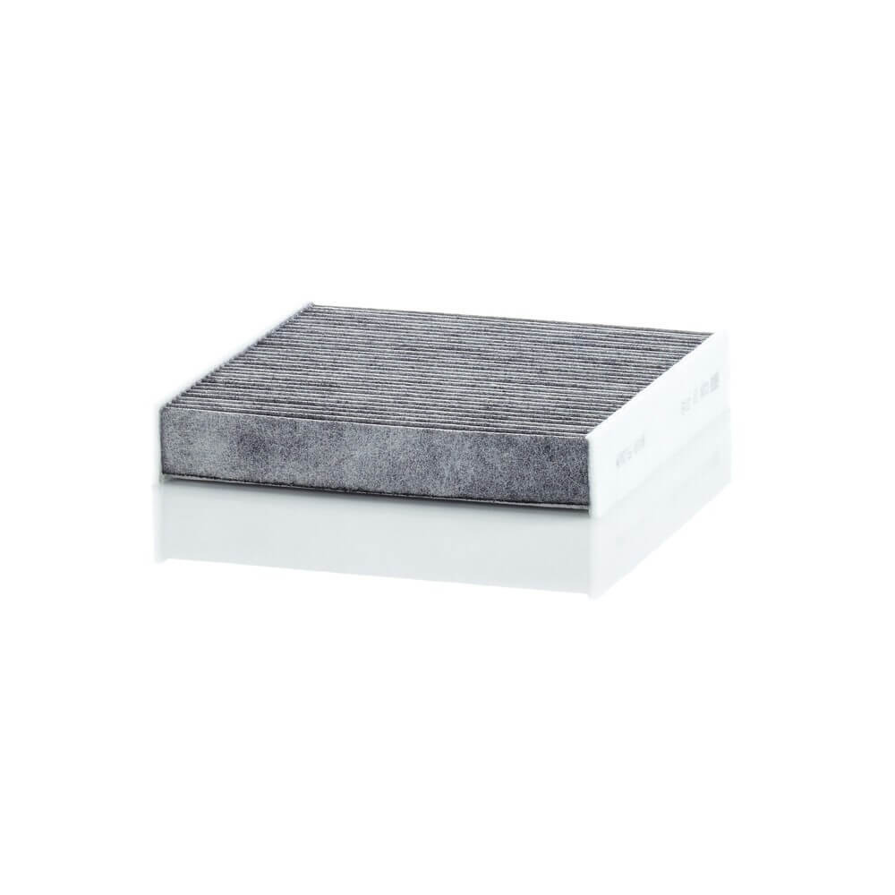 Cabin/ Activated Carbon Filter