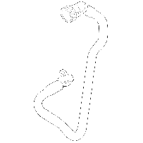 Oil Cooler Hose (Inlet)
