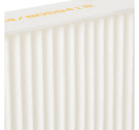 Cabin/ Pollen Filter
