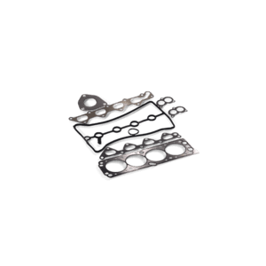 Gaskets & Sealing Rings